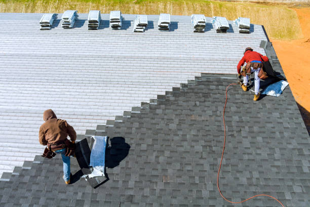 Best Roof Gutter Cleaning  in Gibsonburg, OH