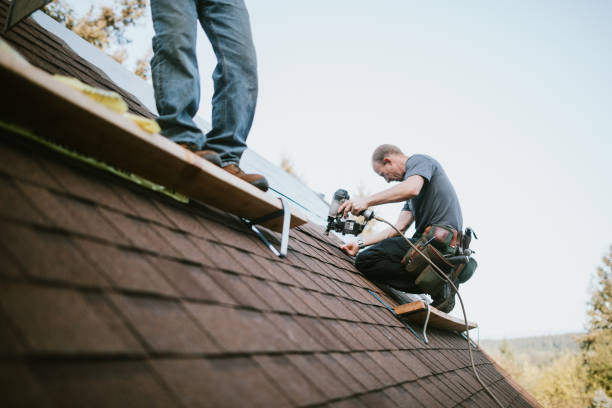 Best Gutter Installation and Roofing  in Gibsonburg, OH