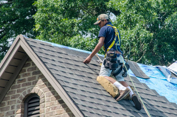 Best Shingle Roofing Installation  in Gibsonburg, OH